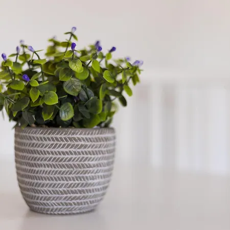 Apartamento Home2book Bright In Near The Dunes *